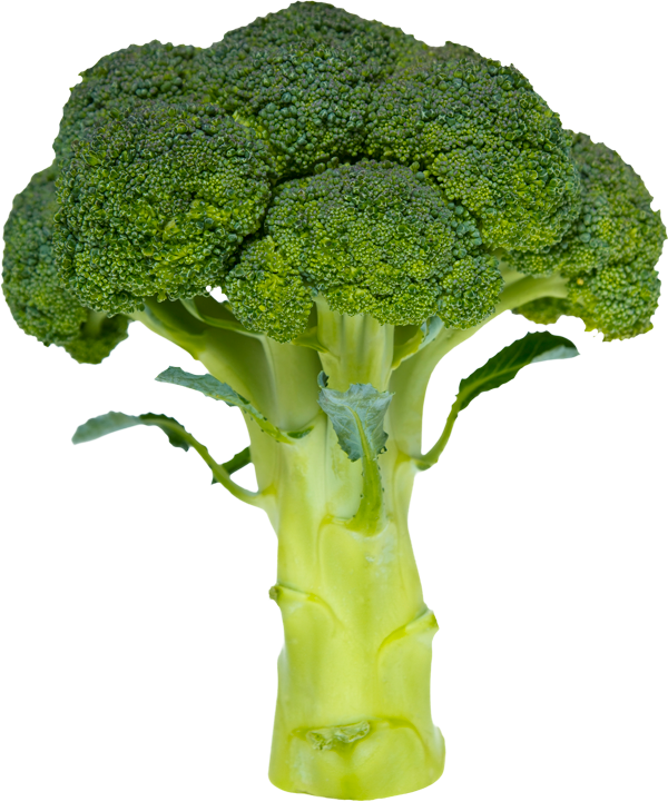 Broccoli