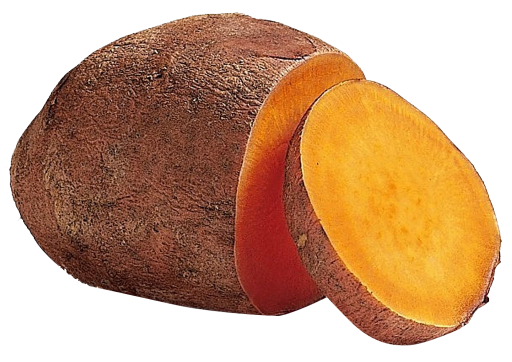 Sweet Potato